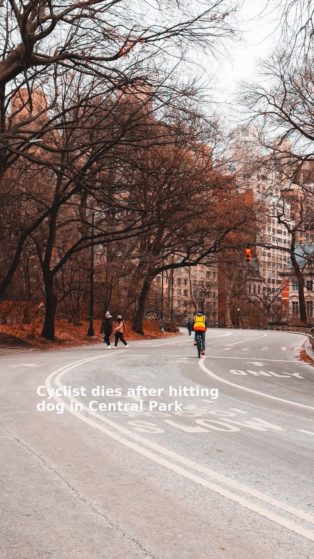 Cyclist dies after hitting dog in Central Park