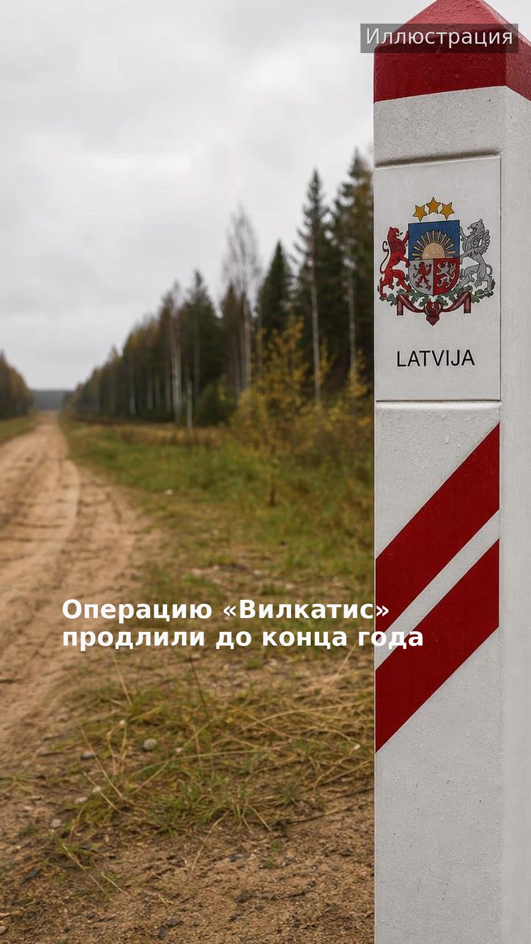 Операцию «Вилкатис» продлили до конца года