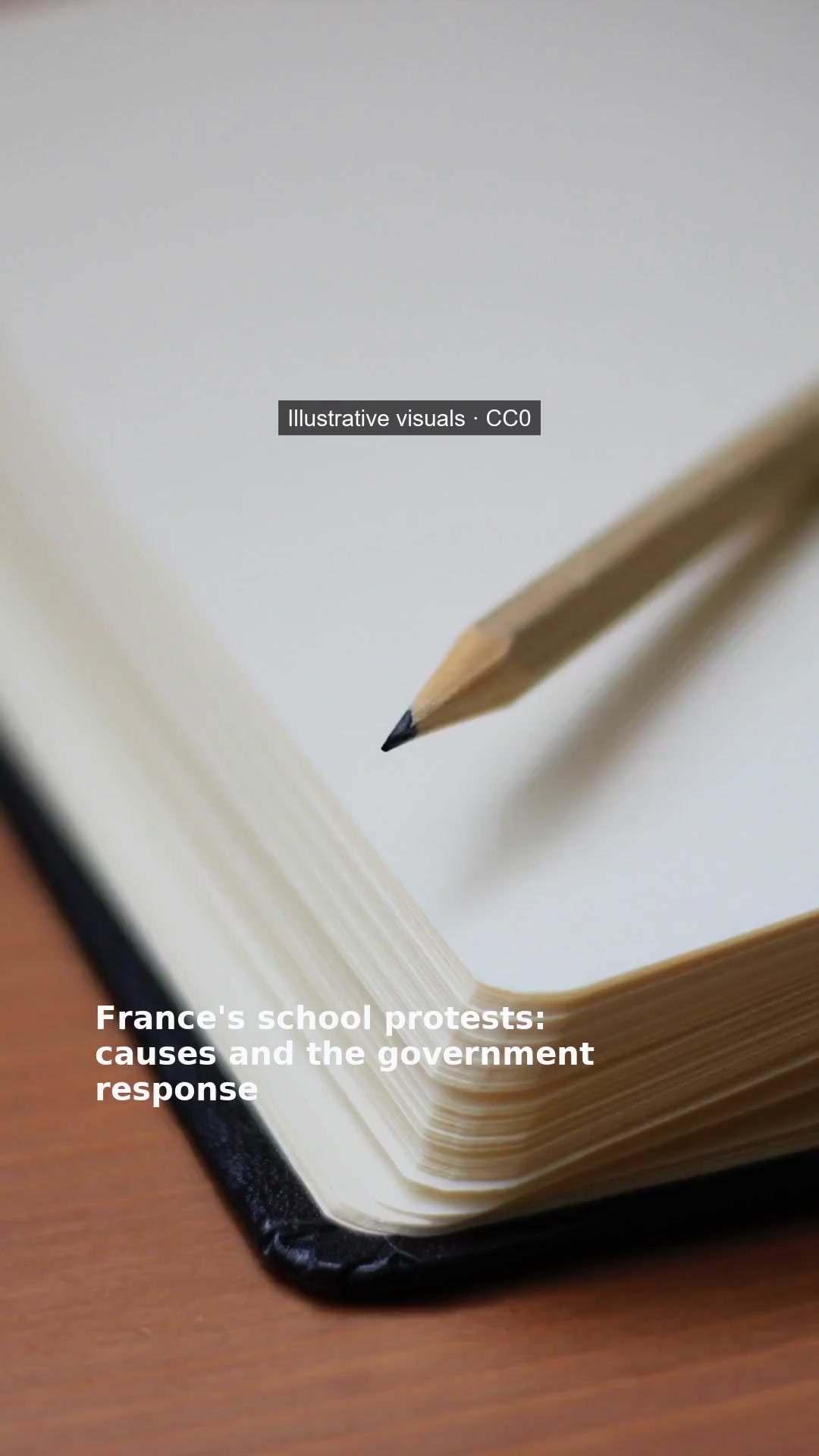 France's school protests: causes and the government response