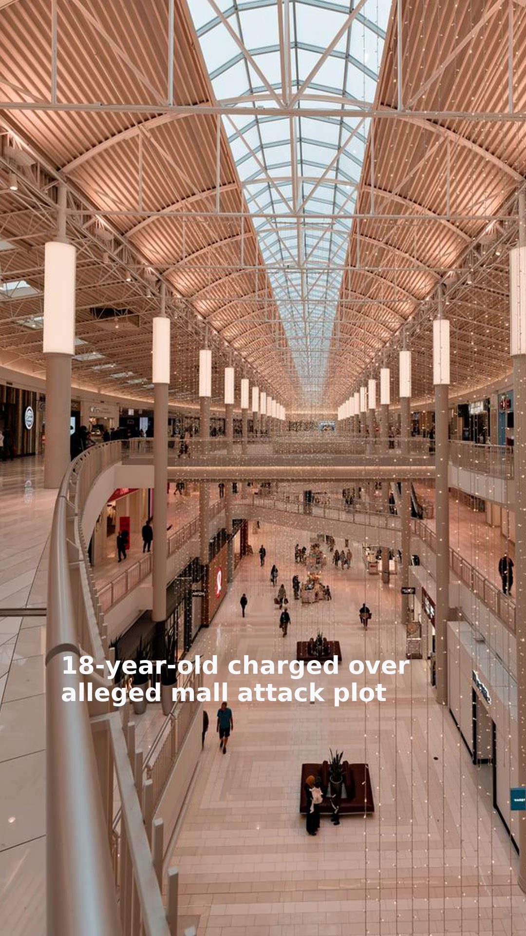 18-year-old charged over alleged mall attack plot