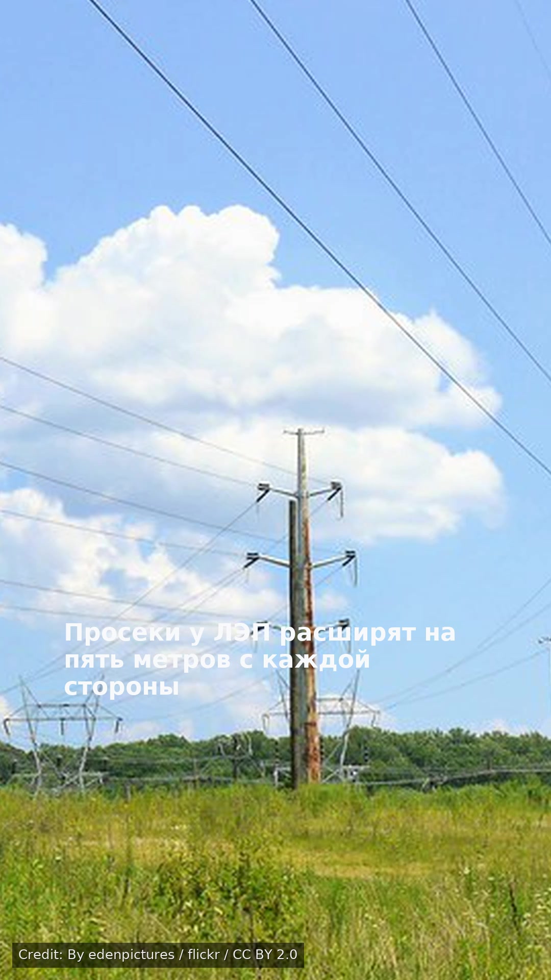 Просеки у ЛЭП расширят на пять метров с каждой стороны