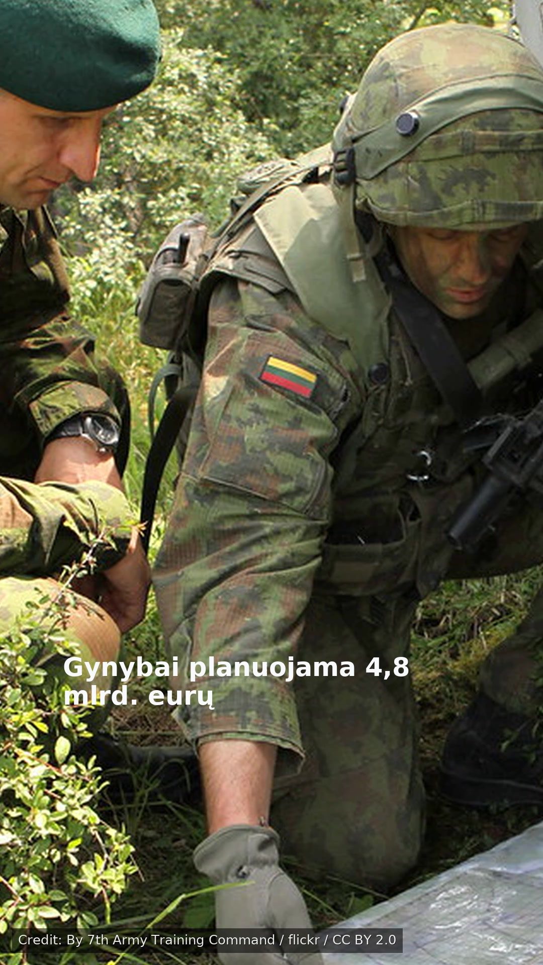 Gynybai planuojama 4,8 mlrd. eurų