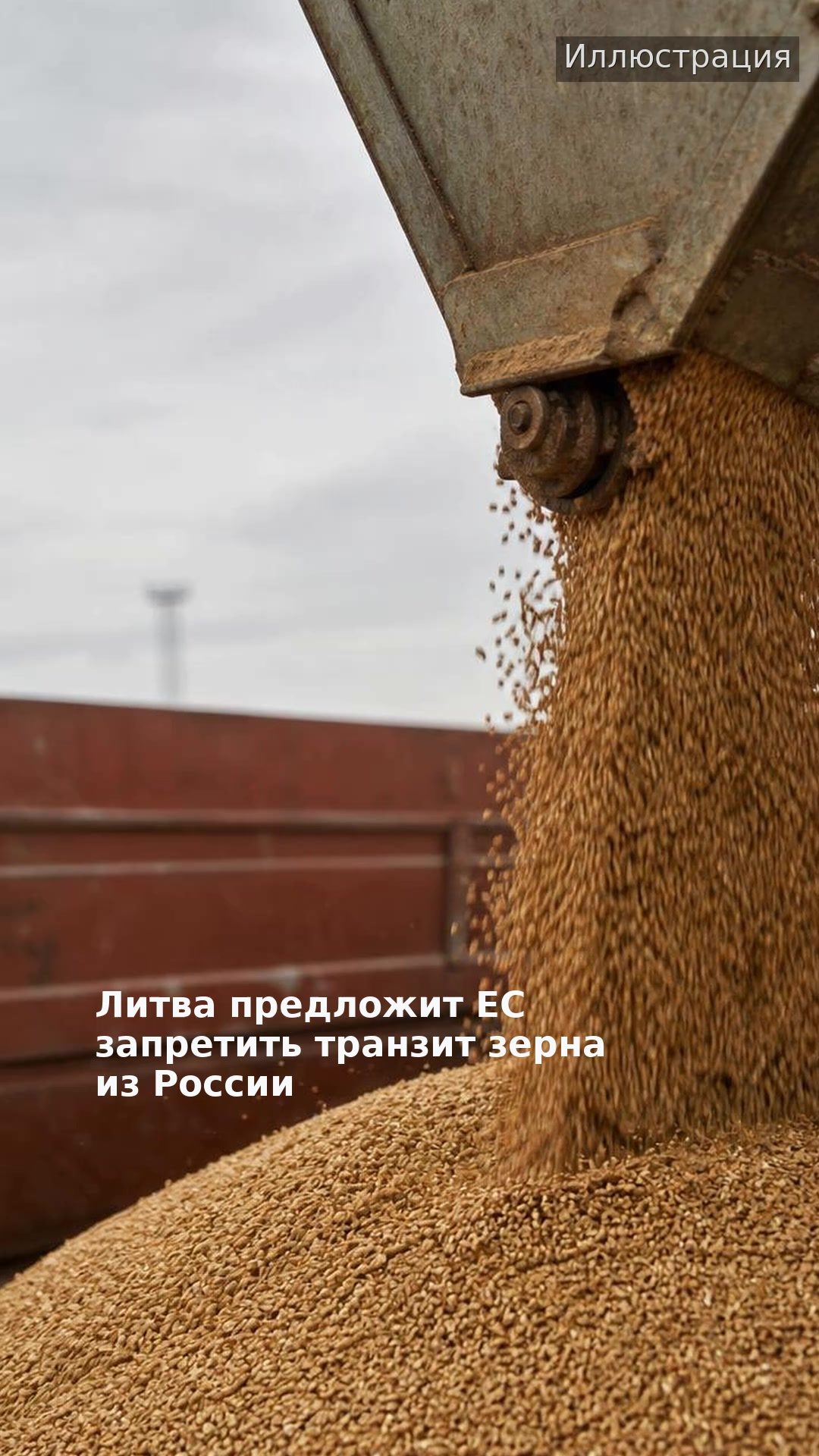 Литва предложит ЕС запретить транзит зерна из России