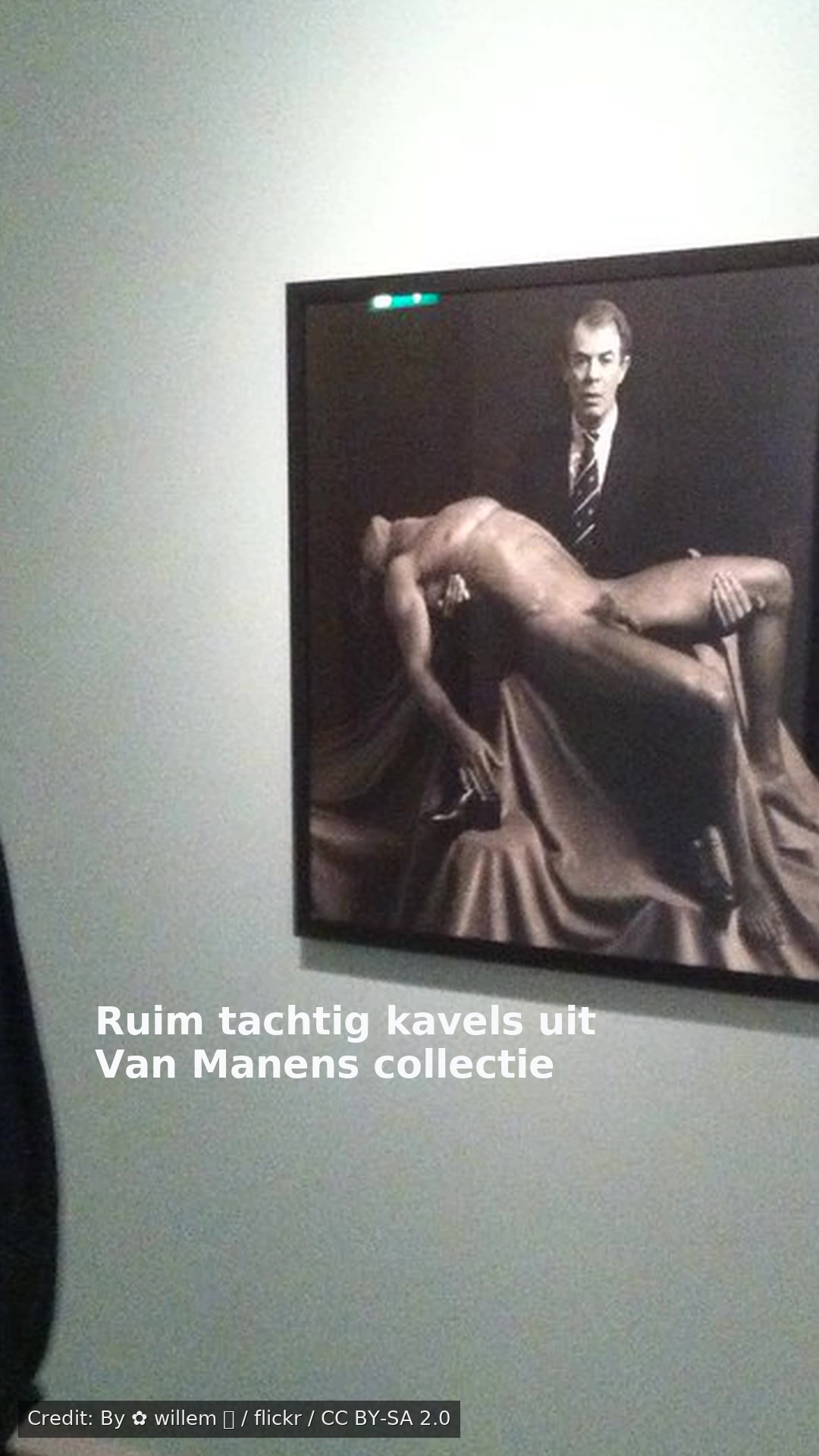 Ruim tachtig kavels uit Van Manens collectie