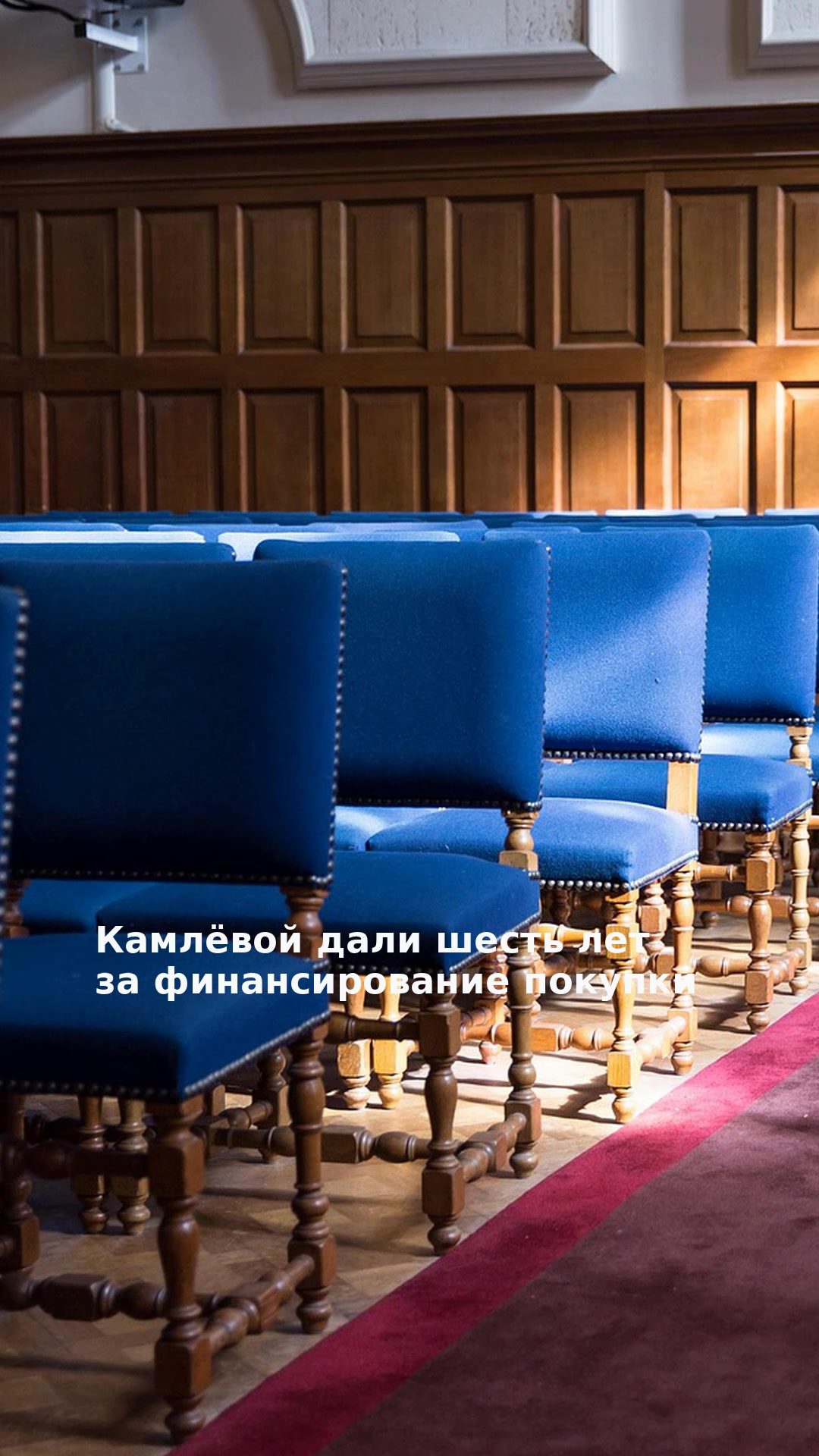 Камлёвой дали шесть лет за финансирование покупки