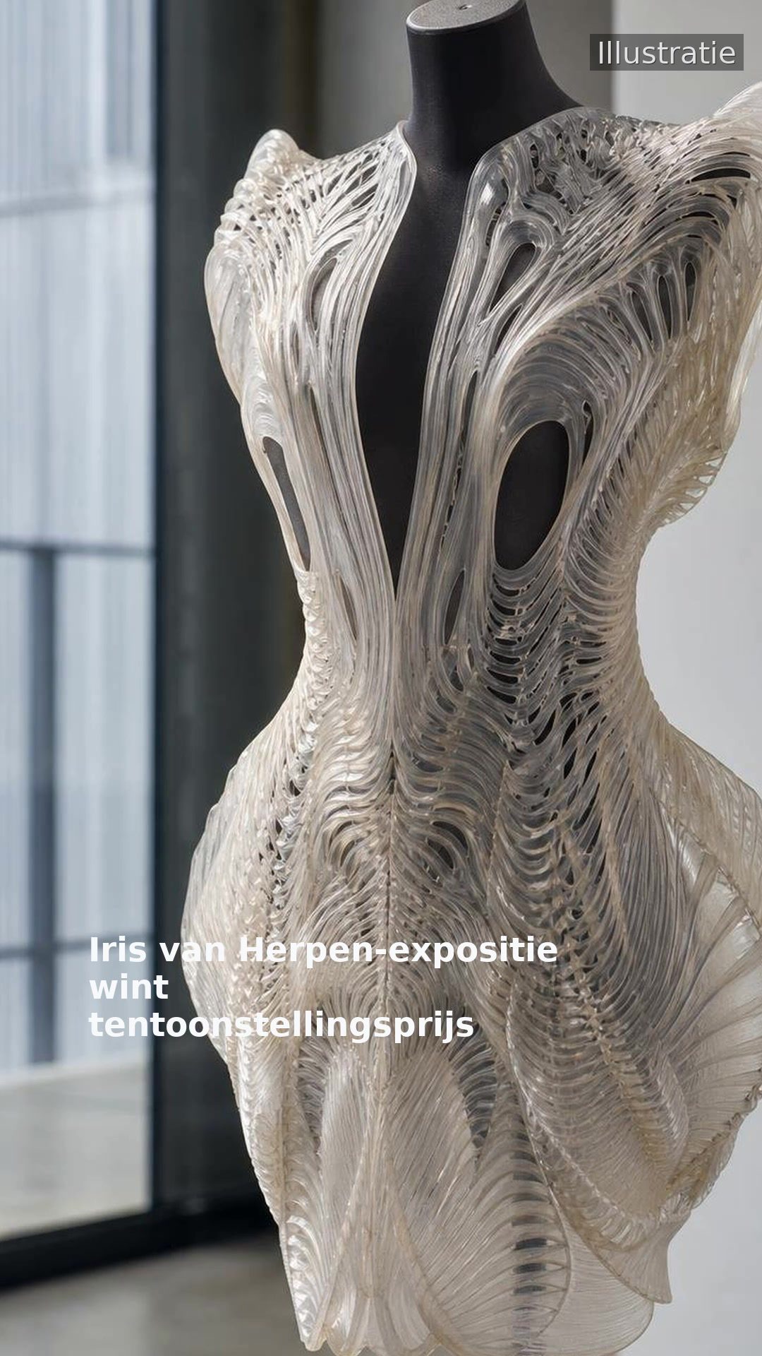 Iris van Herpen-expositie wint tentoonstellingsprijs