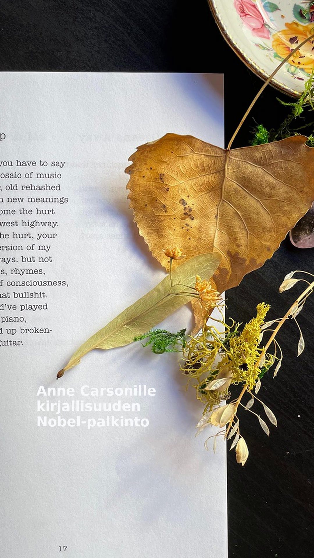Anne Carsonille kirjallisuuden Nobel-palkinto