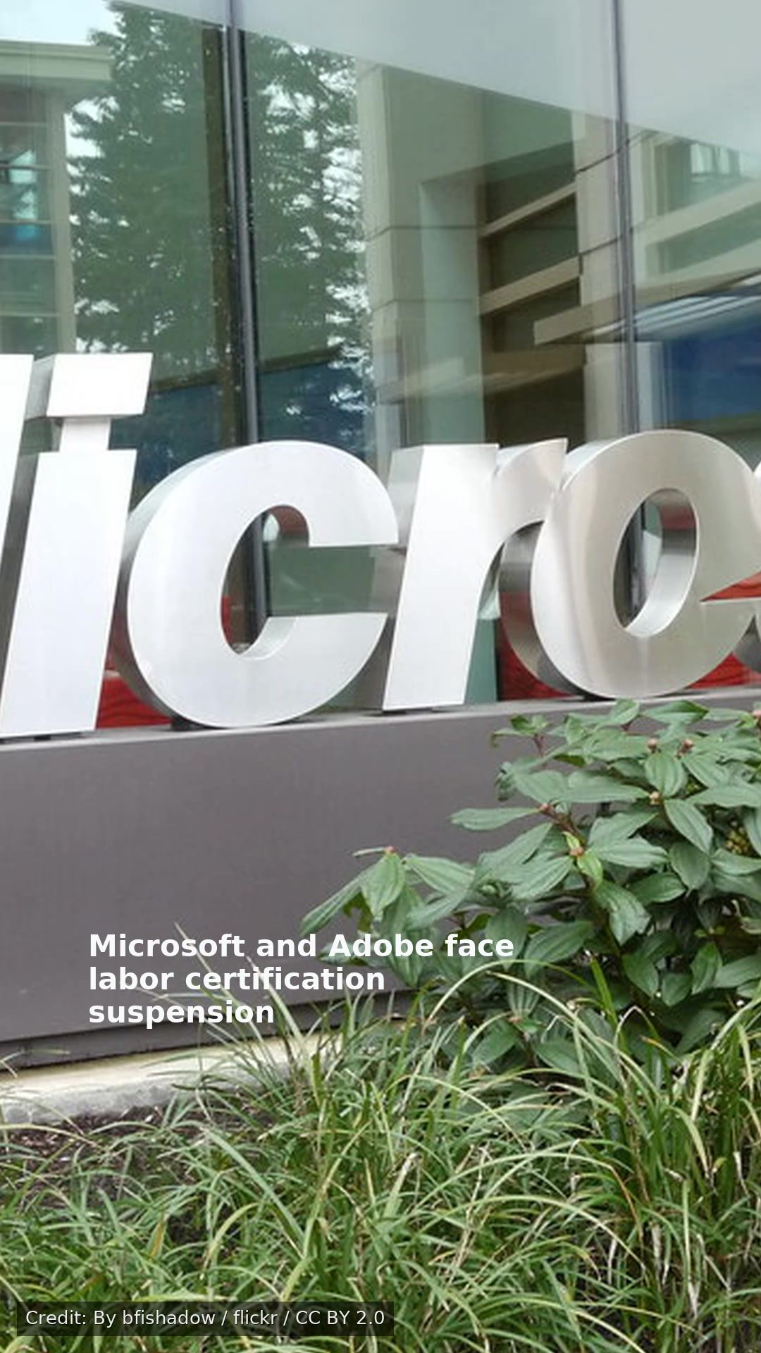 Microsoft and Adobe face labor certification suspension