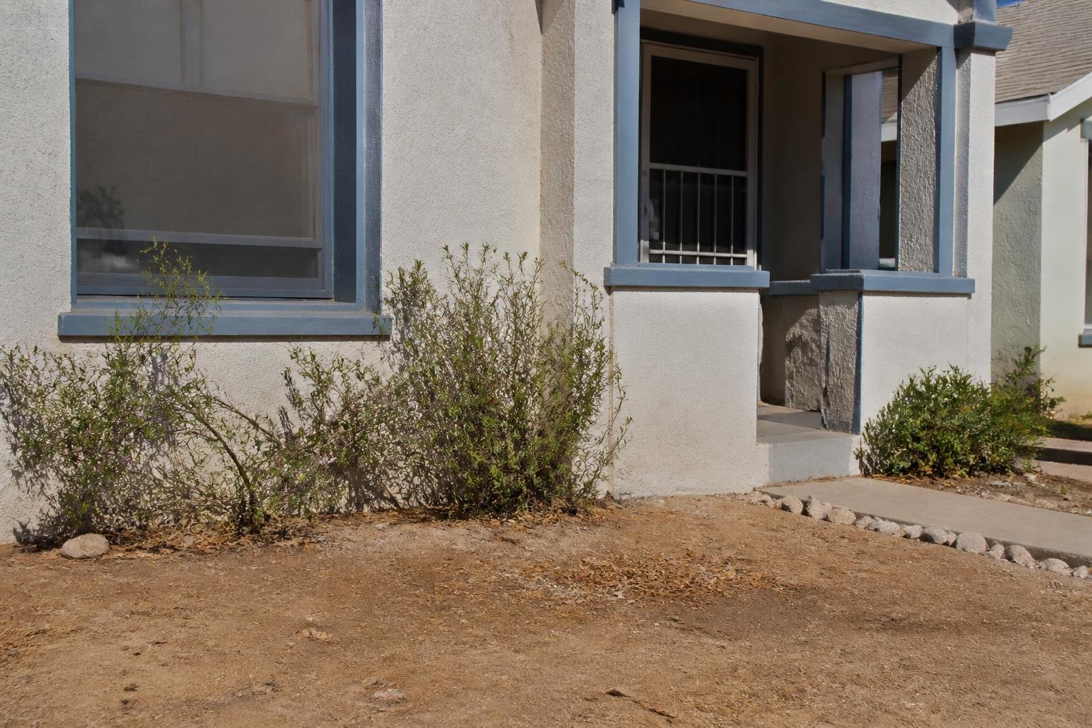 County investigates rodents at alleged hoarding property in Phoenix