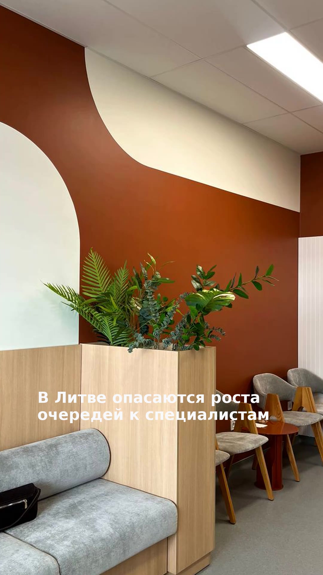 В Литве опасаются роста очередей к специалистам