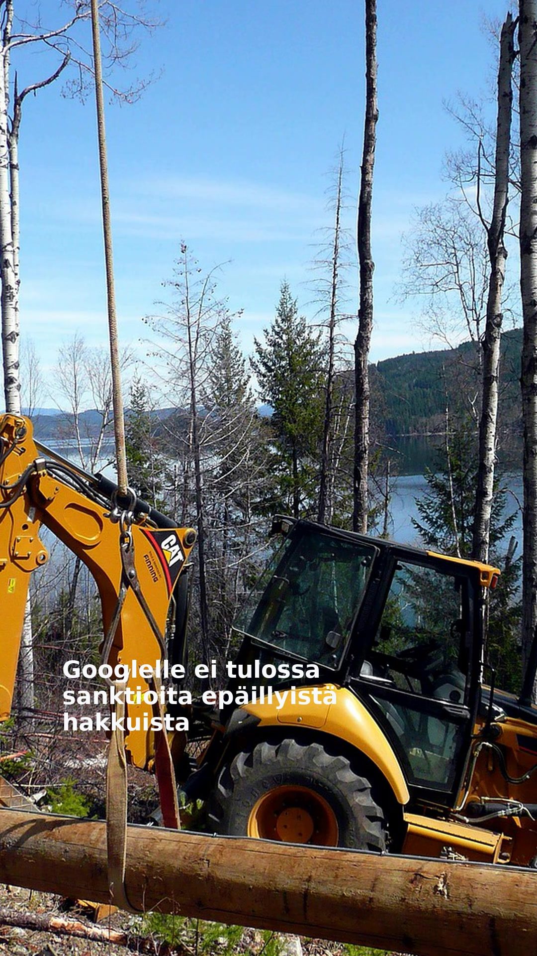 Googlelle ei tulossa sanktioita epäillyistä hakkuista