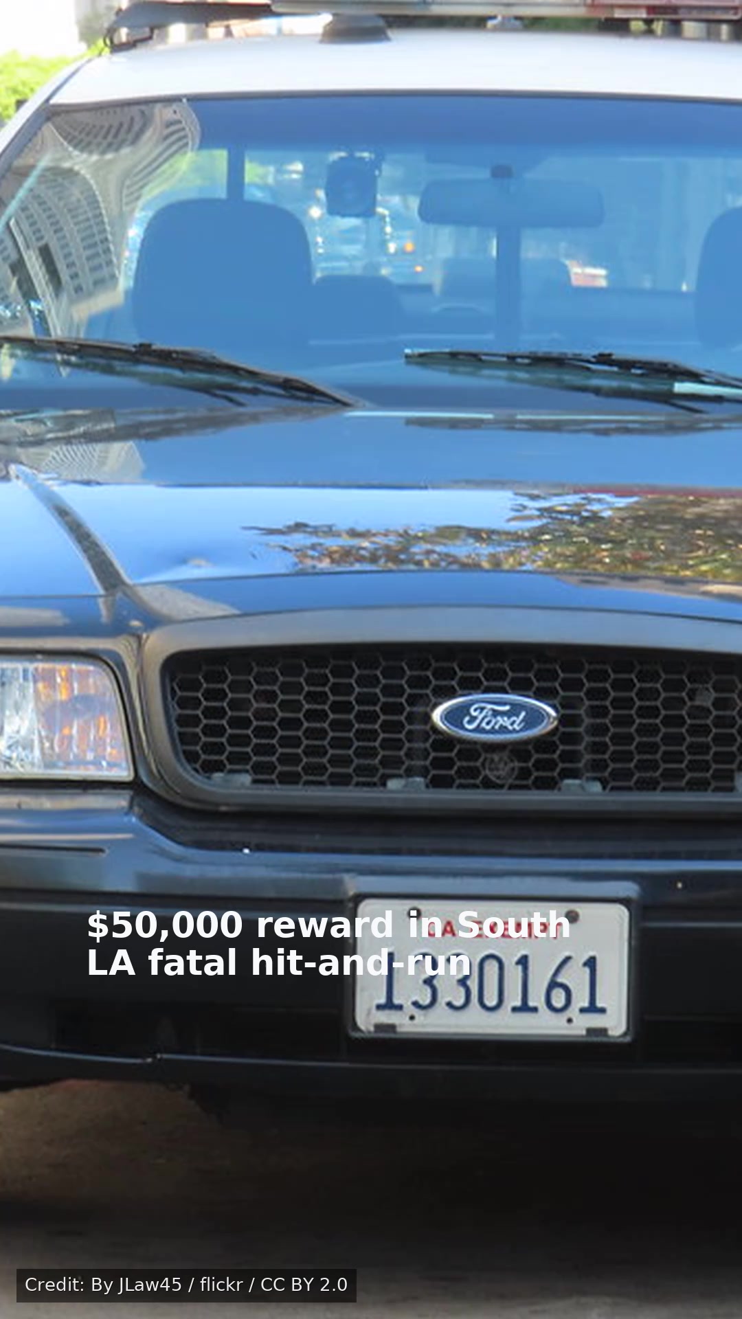 $50,000 reward in South LA fatal hit-and-run