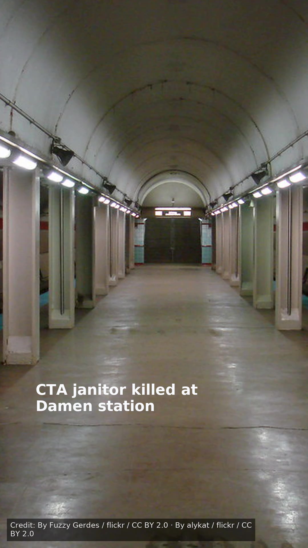 CTA janitor killed at Damen station