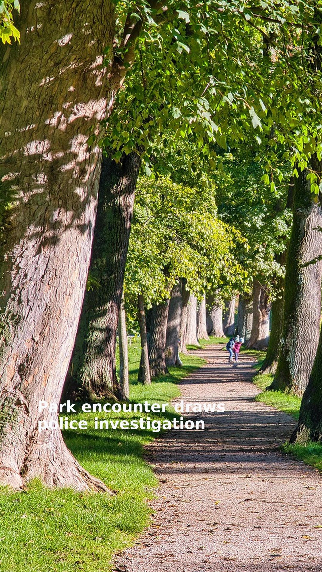 Park encounter draws police investigation