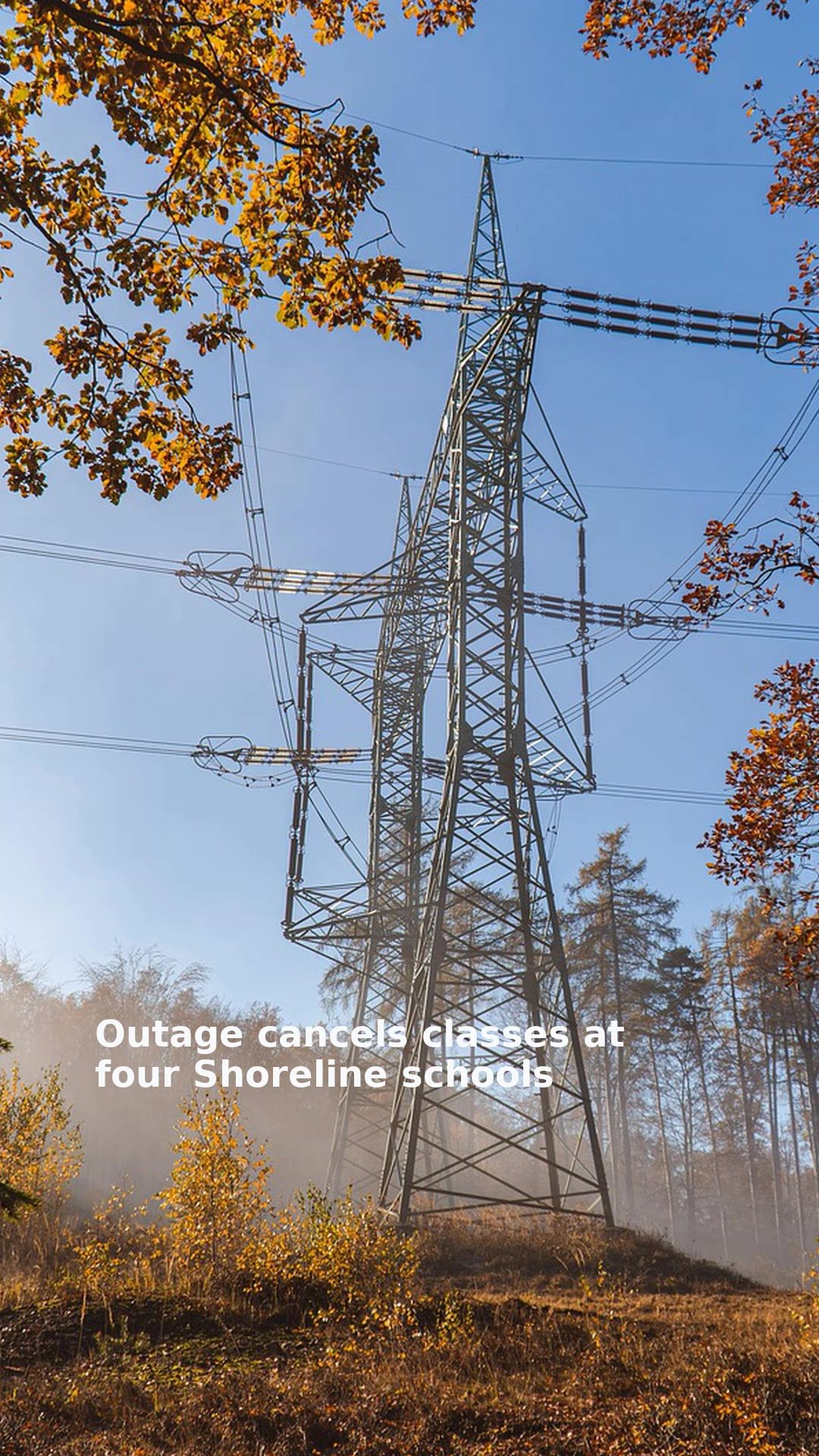 Outage cancels classes at four Shoreline schools