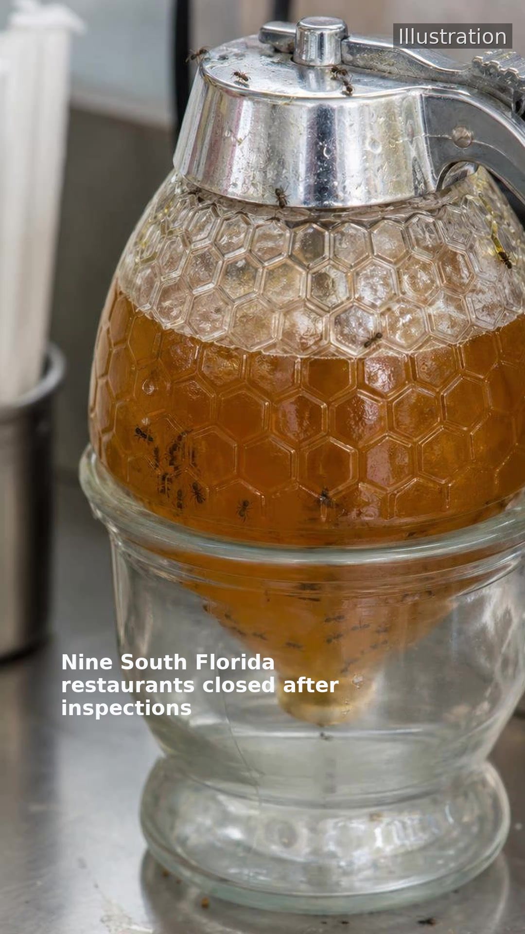 Nine South Florida restaurants closed after inspections
