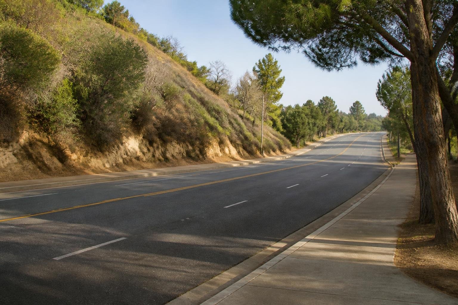 Bass announces Forest Lawn Drive plan; road widening reportedly included Bass announces Forest Lawn Drive plan; road widening reportedly included