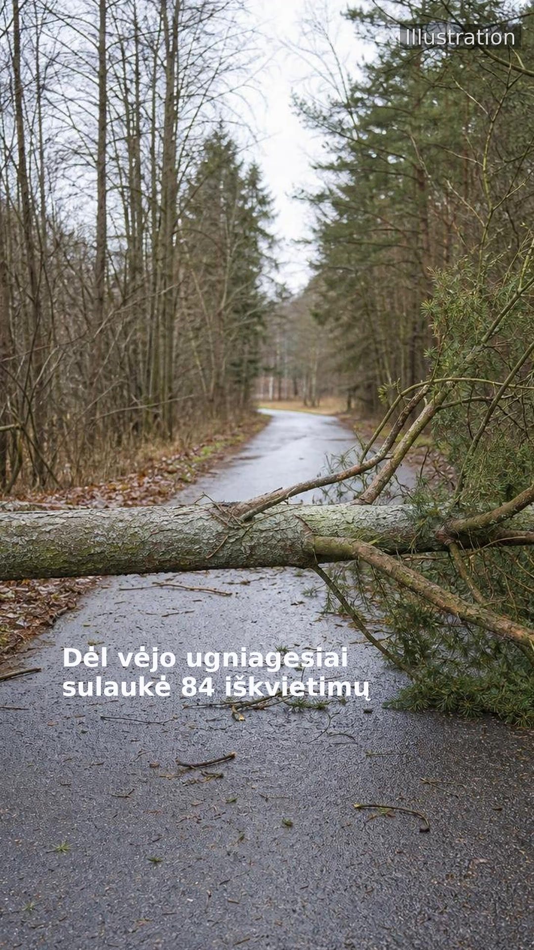 Dėl vėjo ugniagesiai sulaukė 84 iškvietimų