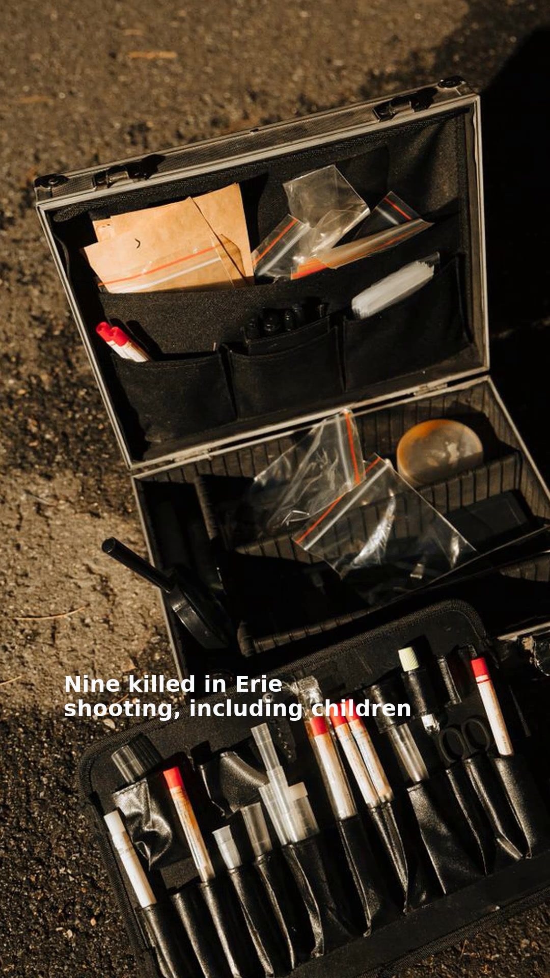 Nine killed in Erie shooting, including children