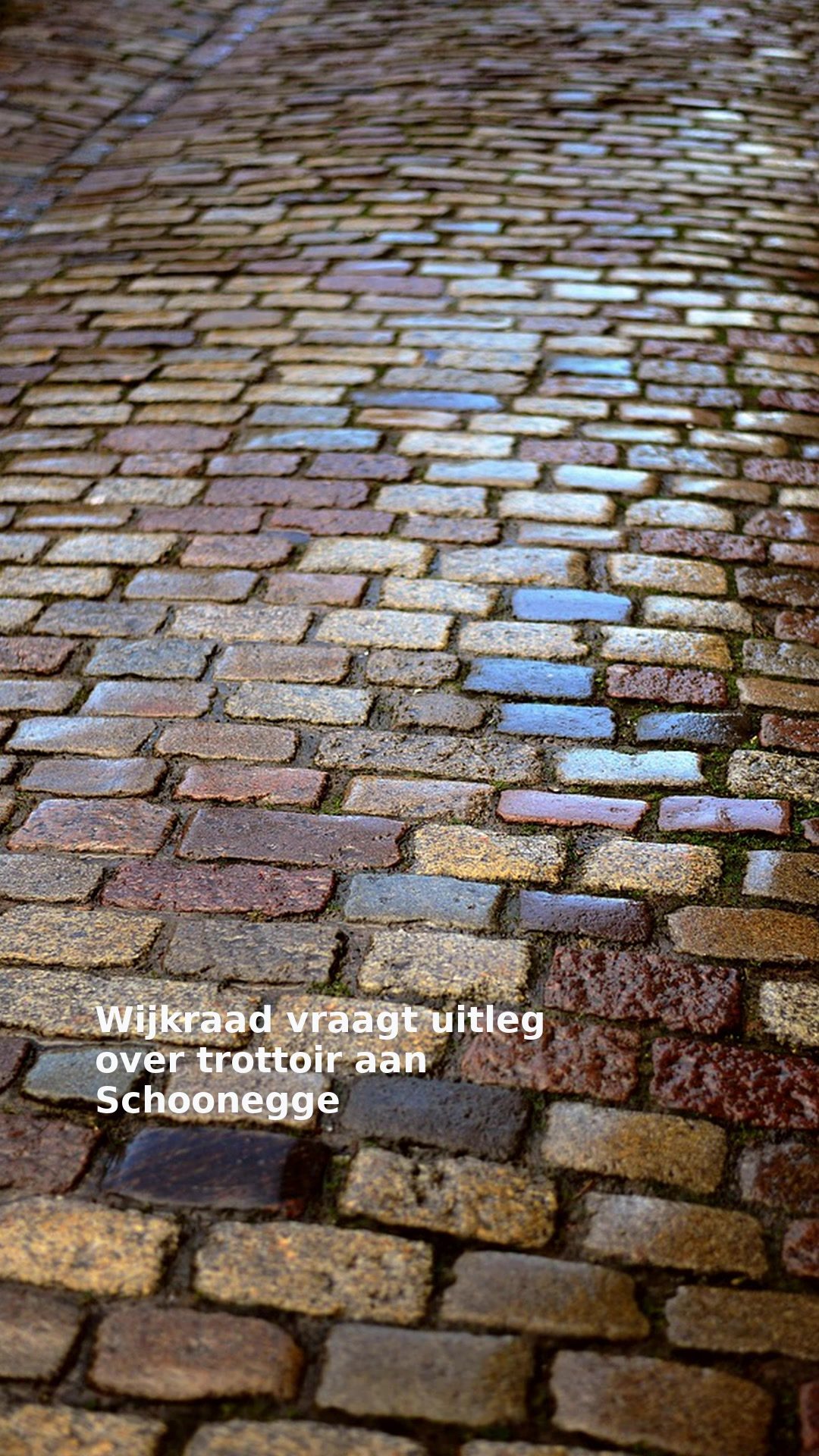Wijkraad vraagt uitleg over trottoir aan Schoonegge