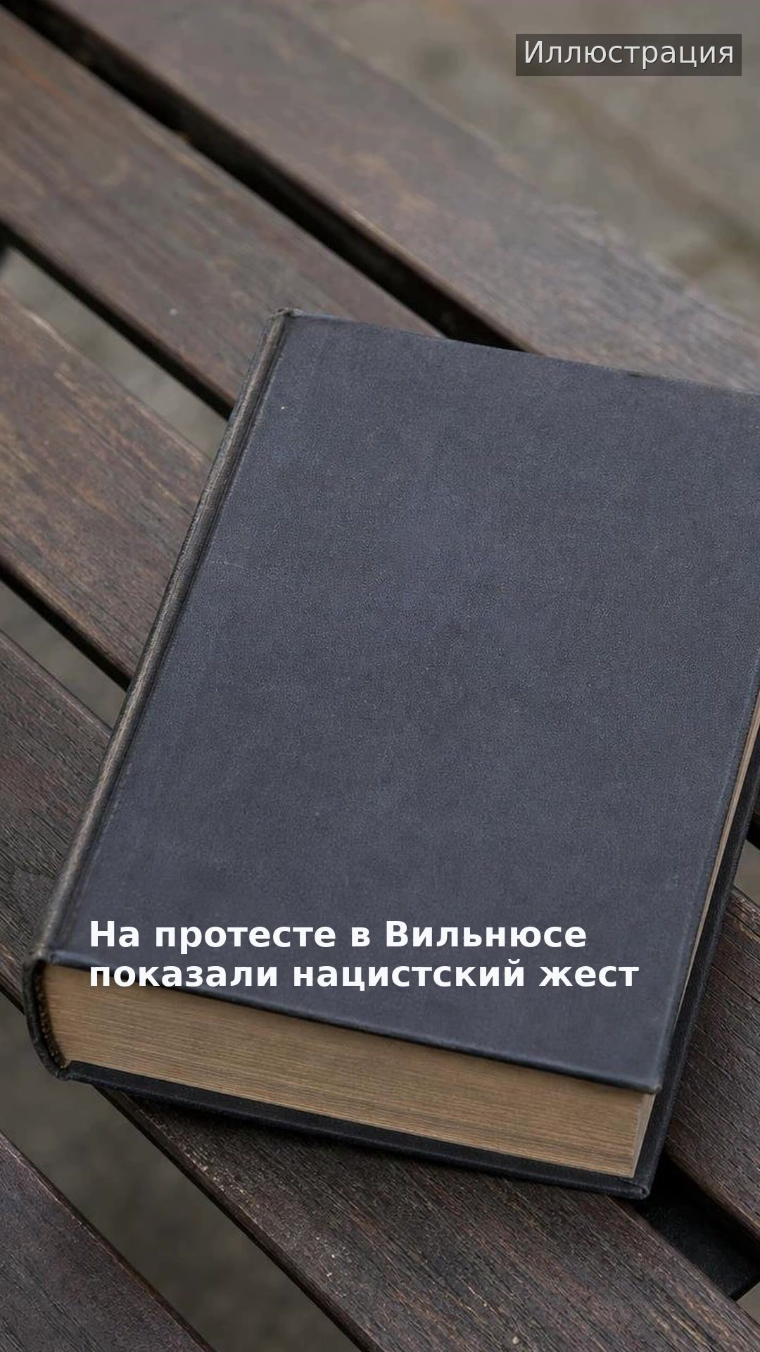 На протесте в Вильнюсе показали нацистский жест