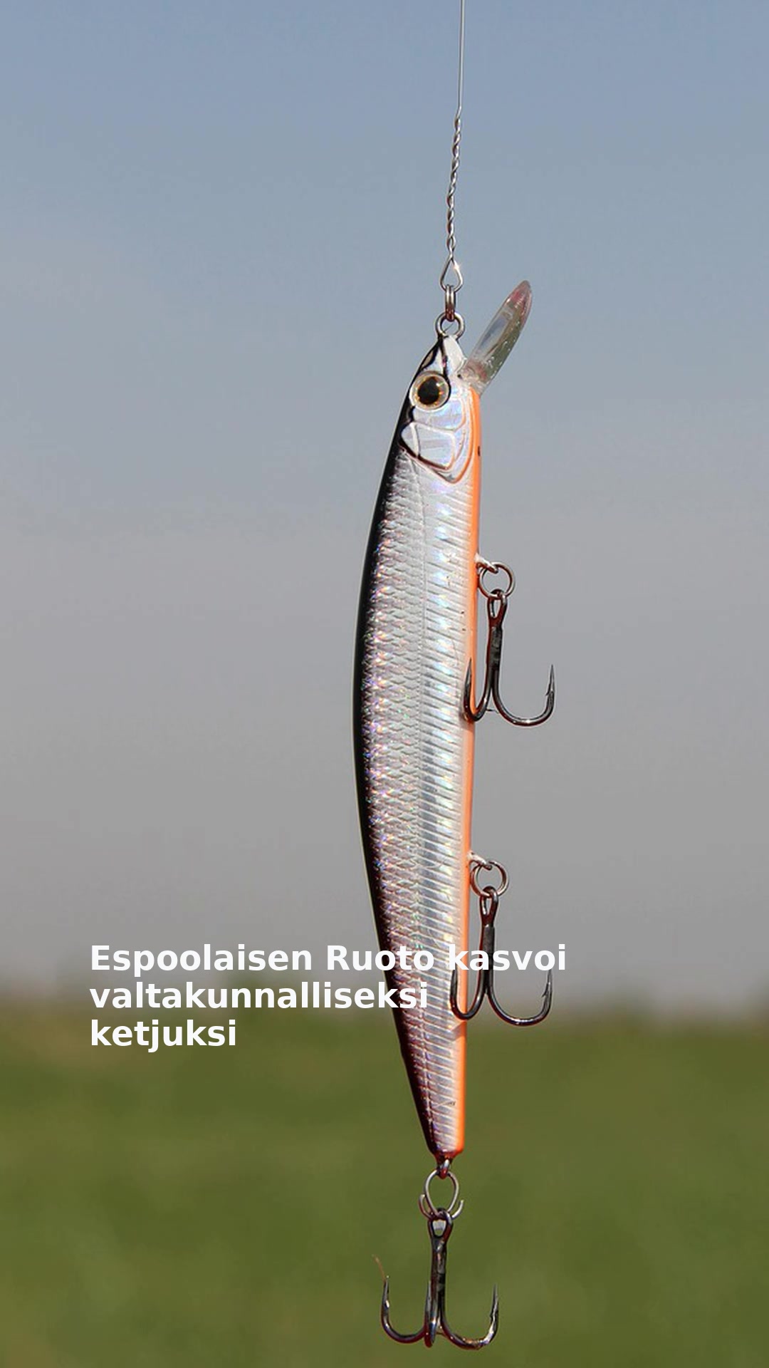 Espoolaisen Ruoto kasvoi valtakunnalliseksi ketjuksi