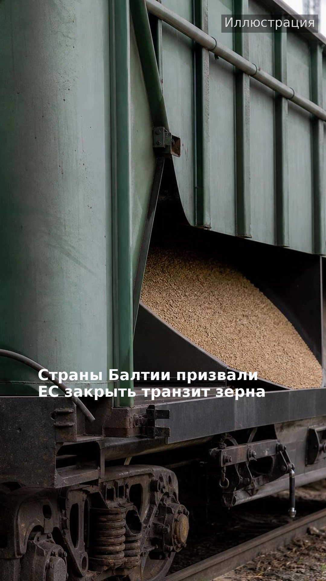 Страны Балтии призвали ЕС закрыть транзит зерна