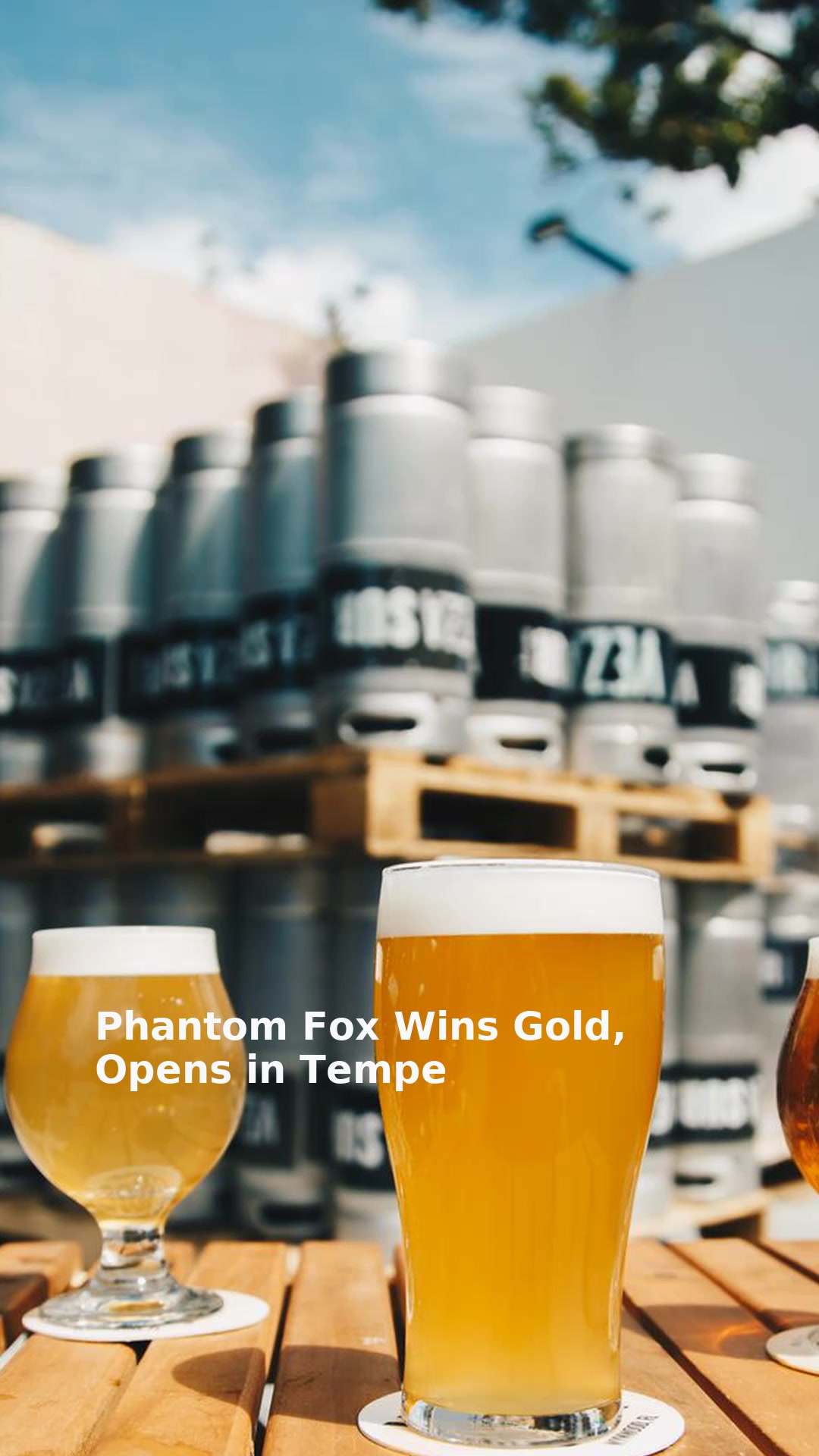 Phantom Fox Wins Gold, Opens in Tempe