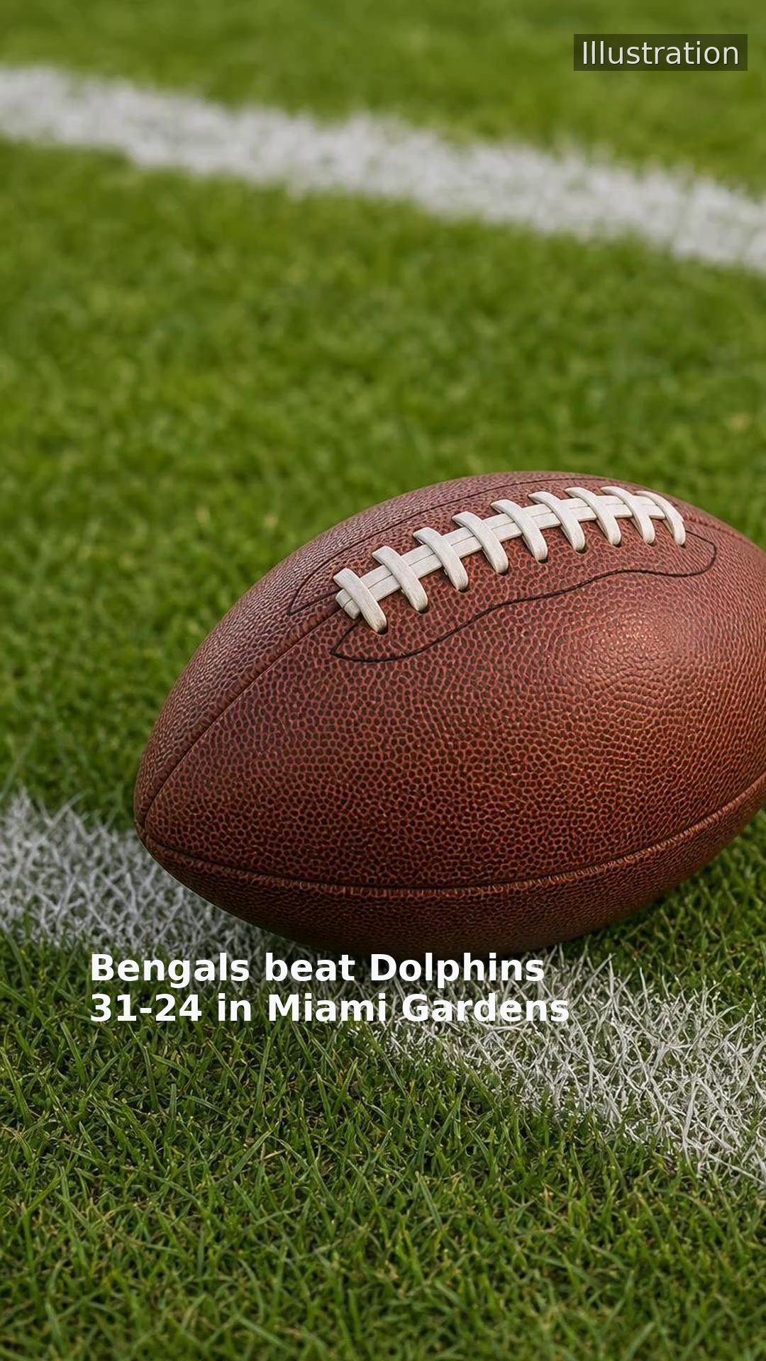 Bengals beat Dolphins 31-24 in Miami Gardens