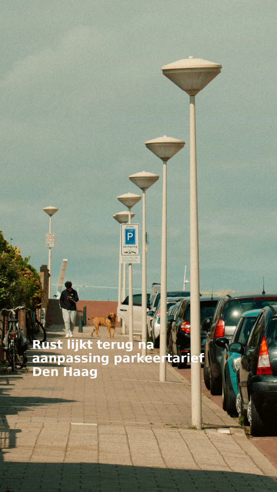 Rust lijkt terug na aanpassing parkeertarief Den Haag