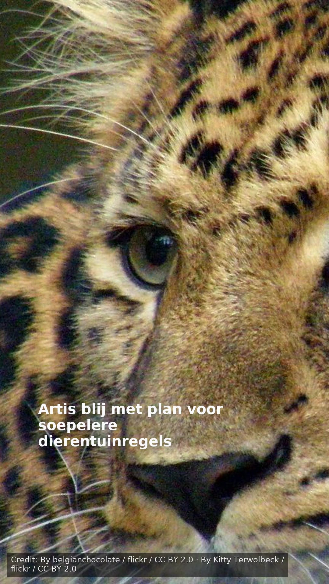 Artis blij met plan voor soepelere dierentuinregels