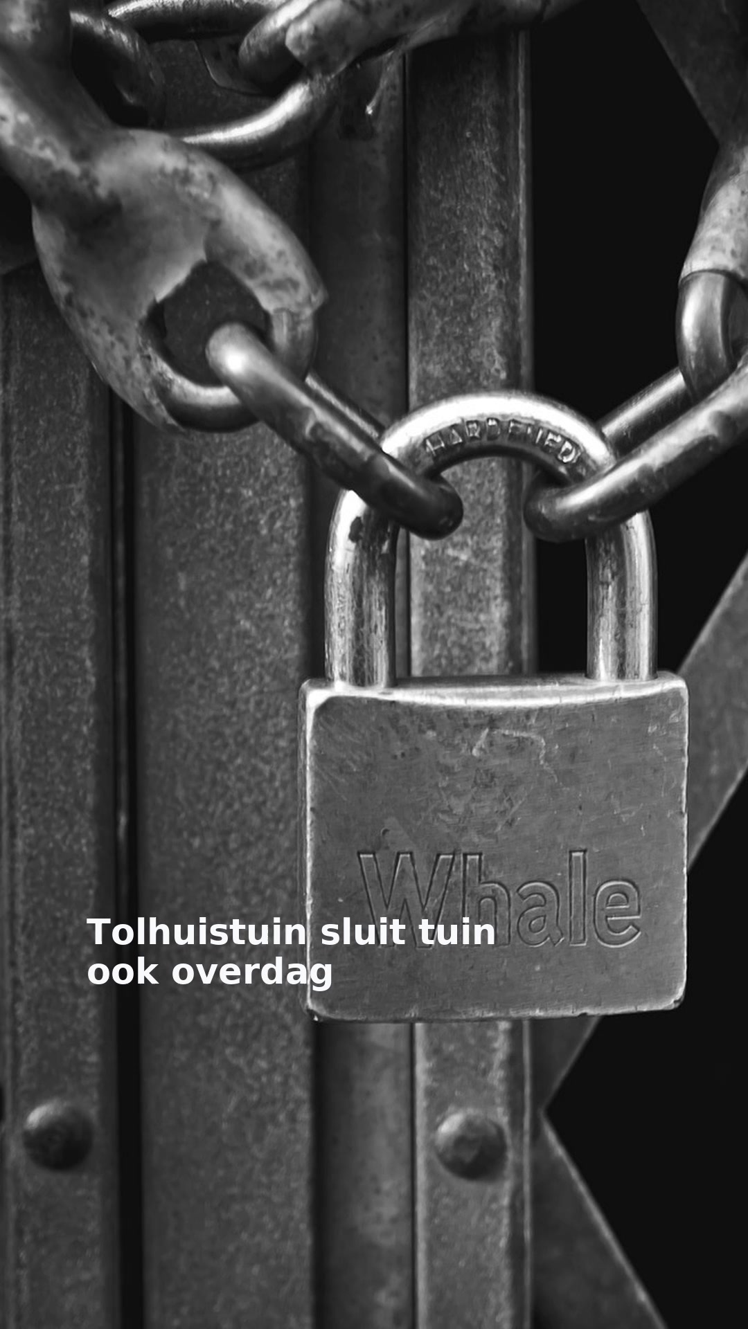 Tolhuistuin sluit tuin ook overdag