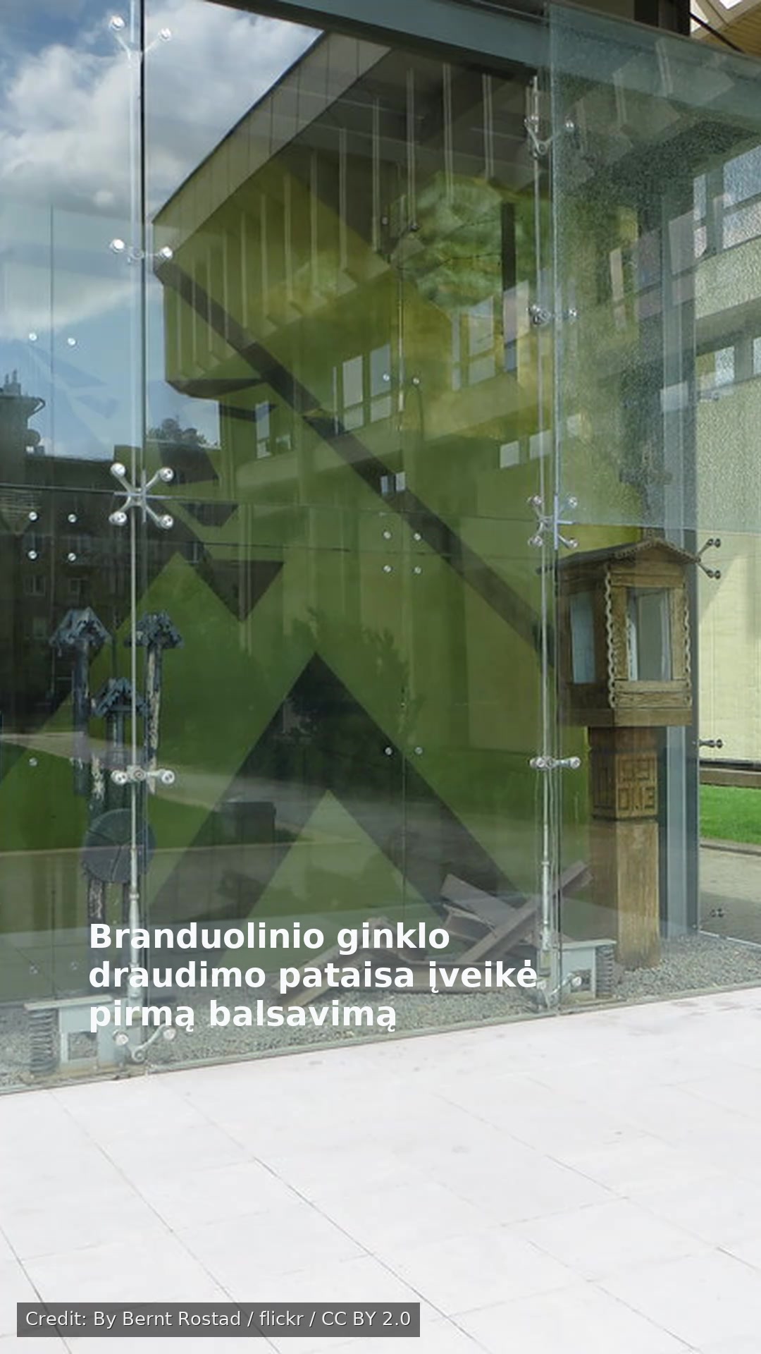 Branduolinio ginklo draudimo pataisa įveikė pirmą balsavimą