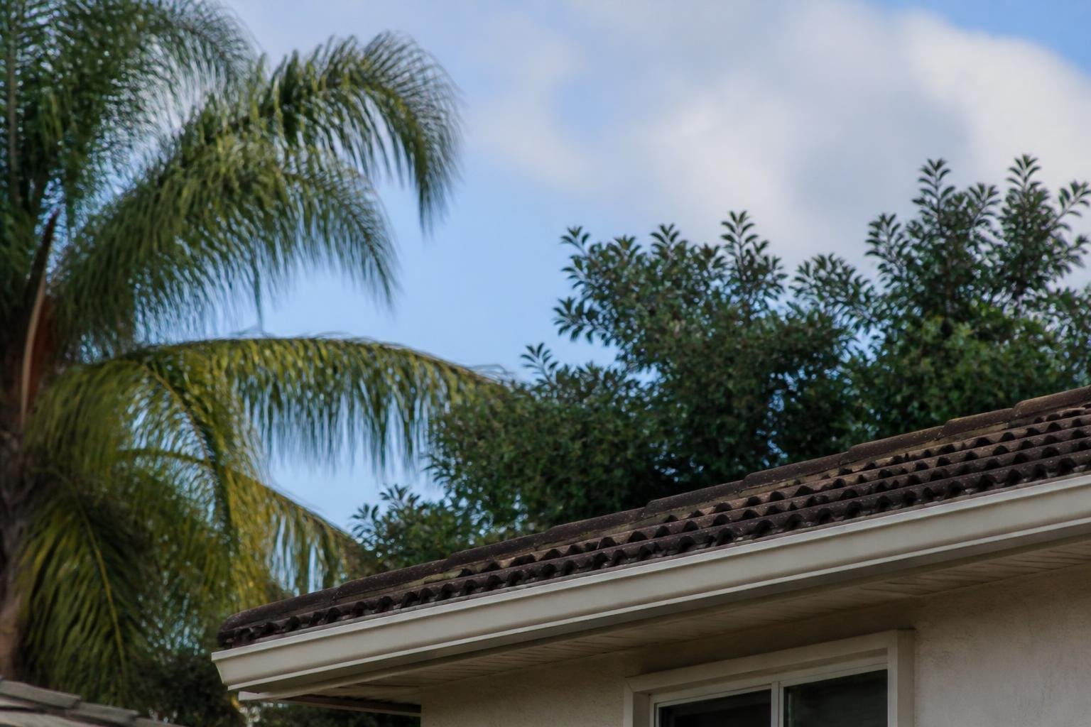 Deputies say armed man arrested on Palmetto Bay rooftop