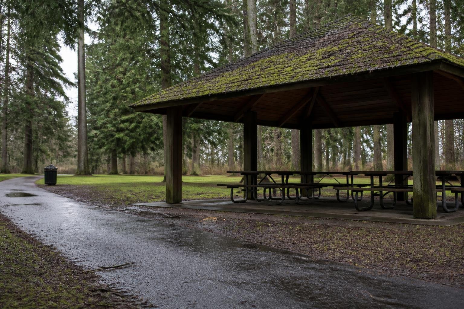 Man stabbed near Woodland Park picnic shelter in attempted robbery Man stabbed near Woodland Park picnic shelter in attempted robbery
