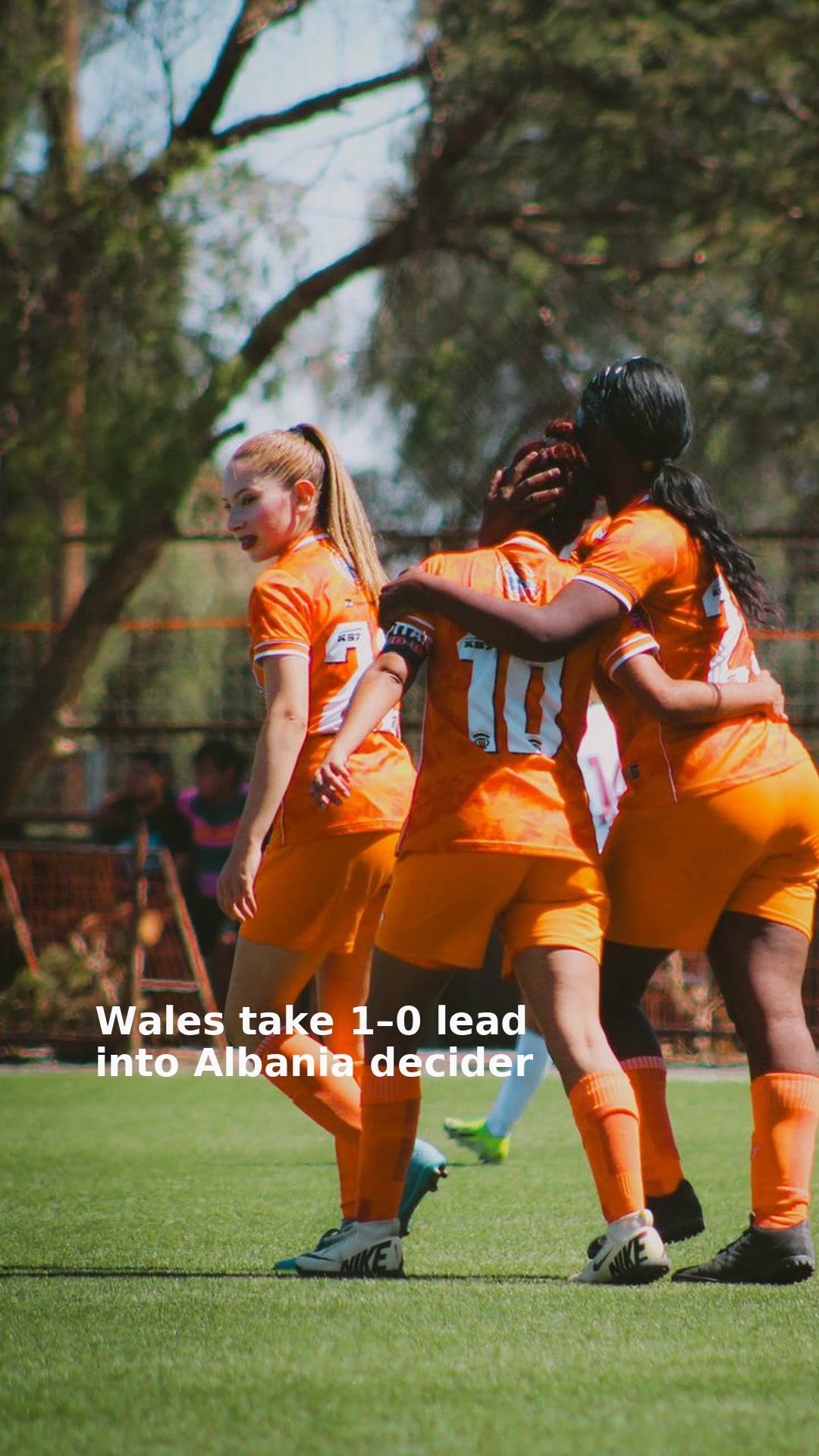 Wales take 1–0 lead into Albania decider