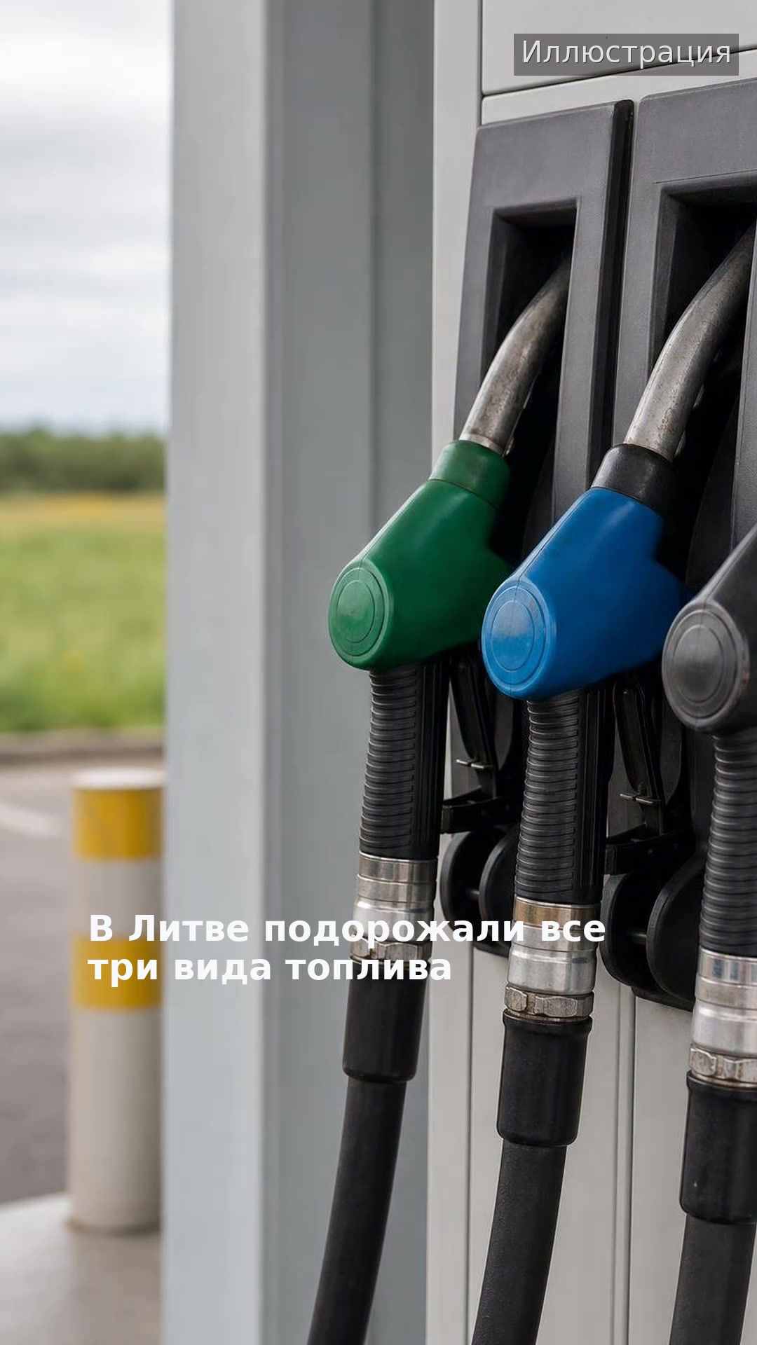 В Литве подорожали все три вида топлива