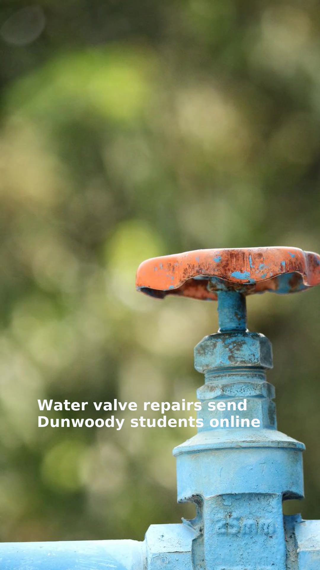 Water valve repairs send Dunwoody students online