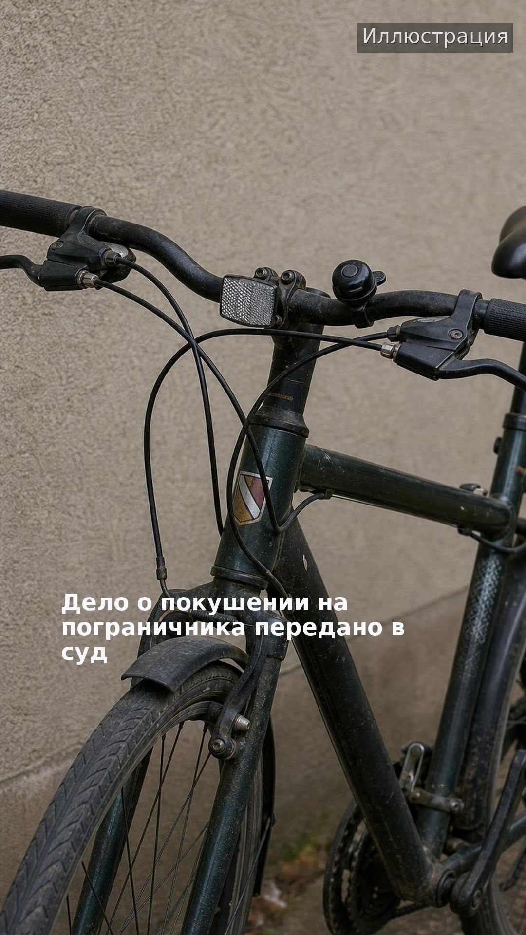 Дело о покушении на пограничника передано в суд