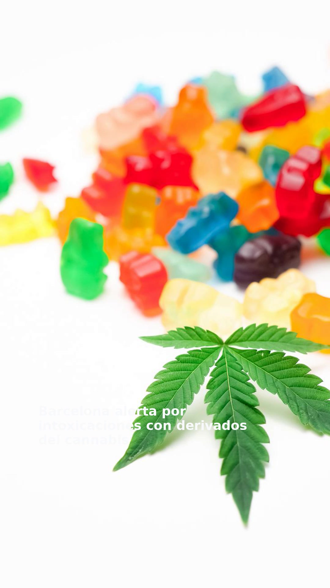 Barcelona alerta por intoxicaciones con derivados del cannabis