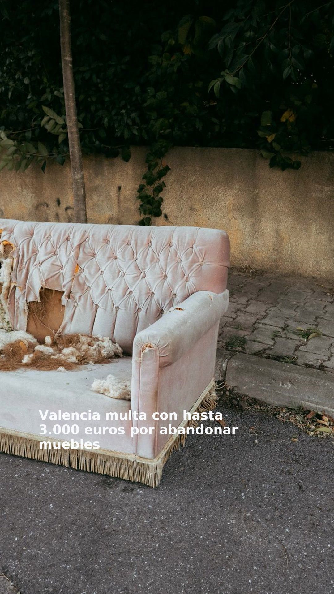 Valencia multa con hasta 3.000 euros por abandonar muebles