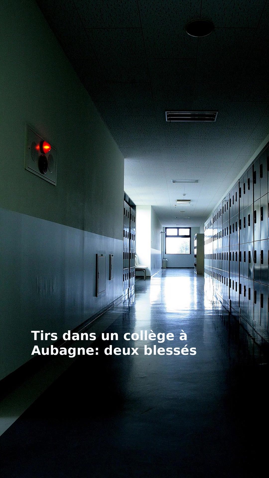 Tirs dans un collège à Aubagne: deux blessés