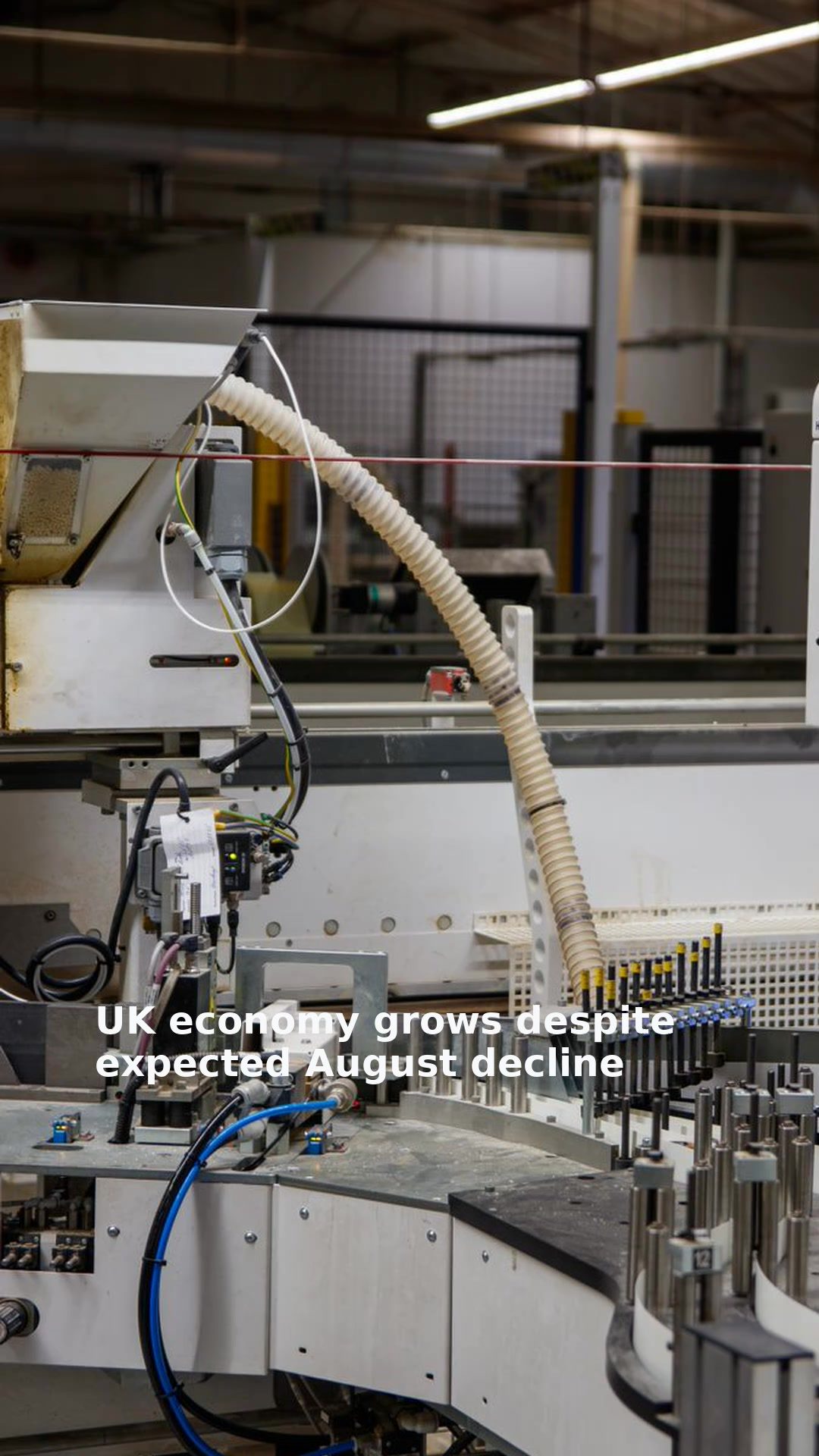 UK economy grows despite expected August decline
