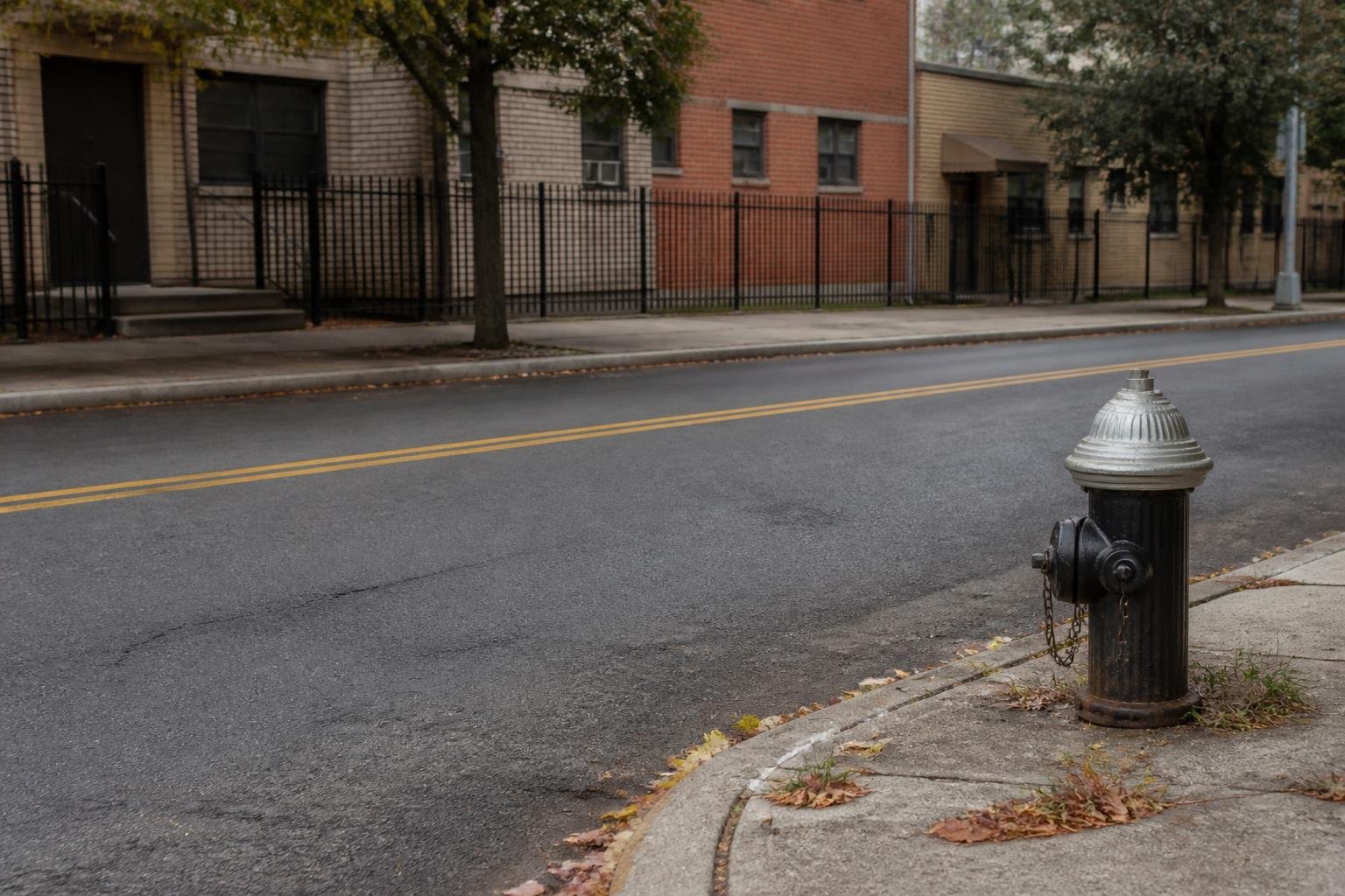 Lawyers say Bronx immigration officer shot into car without warning