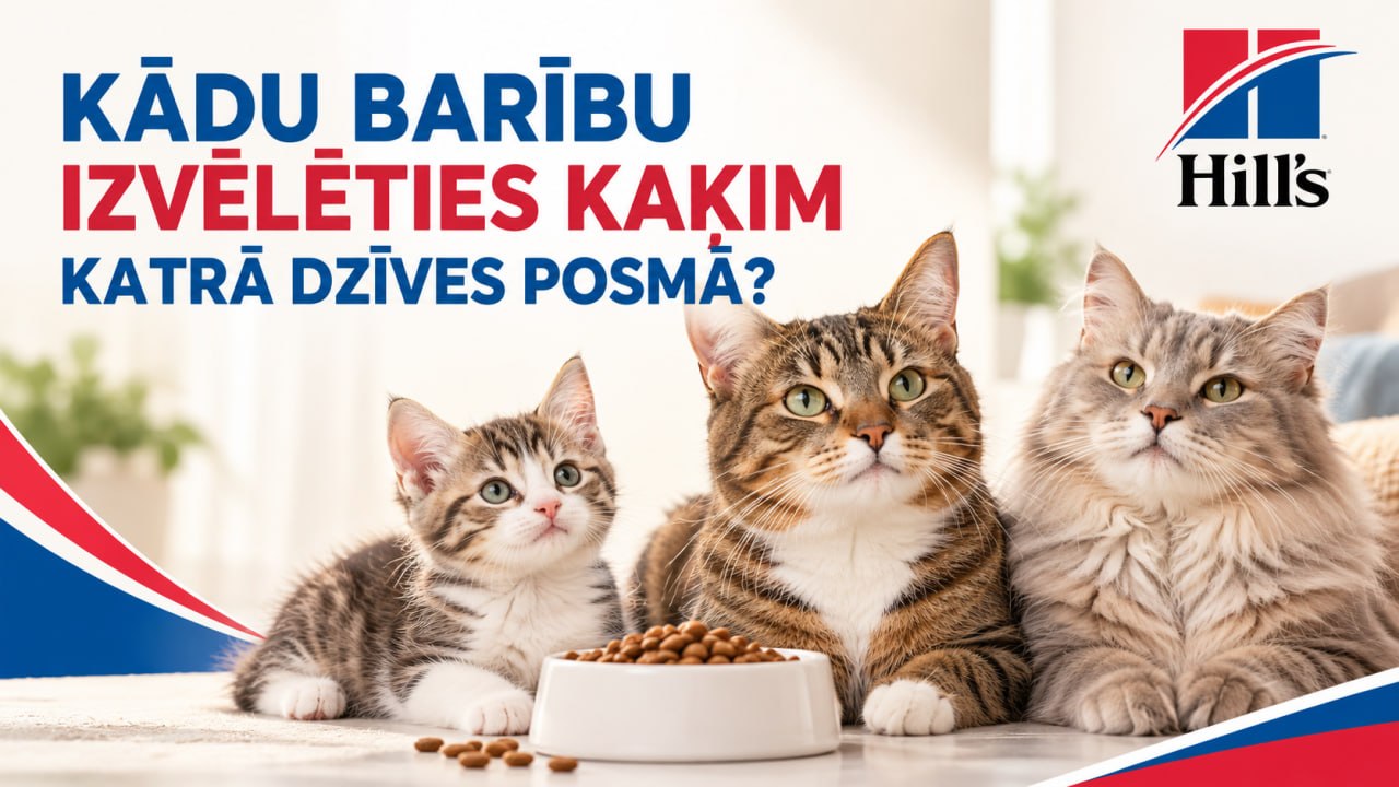 Kādu barību izvēlēties kaķim katrā dzīves posmā? Kādu barību izvēlēties kaķim katrā dzīves posmā?