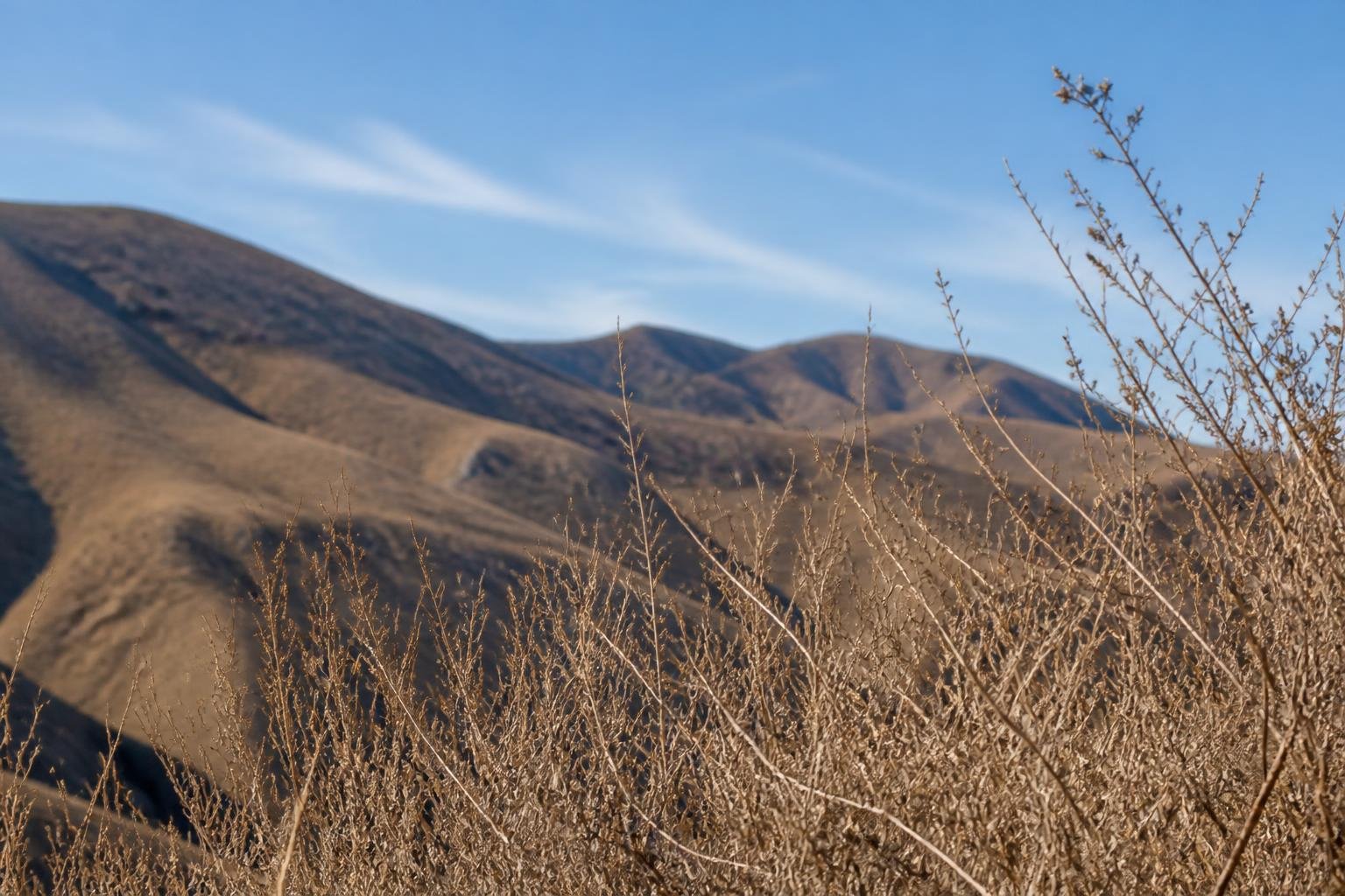 Red Flag Warning issued for Los Angeles and Ventura counties amid forecast Santa Ana winds