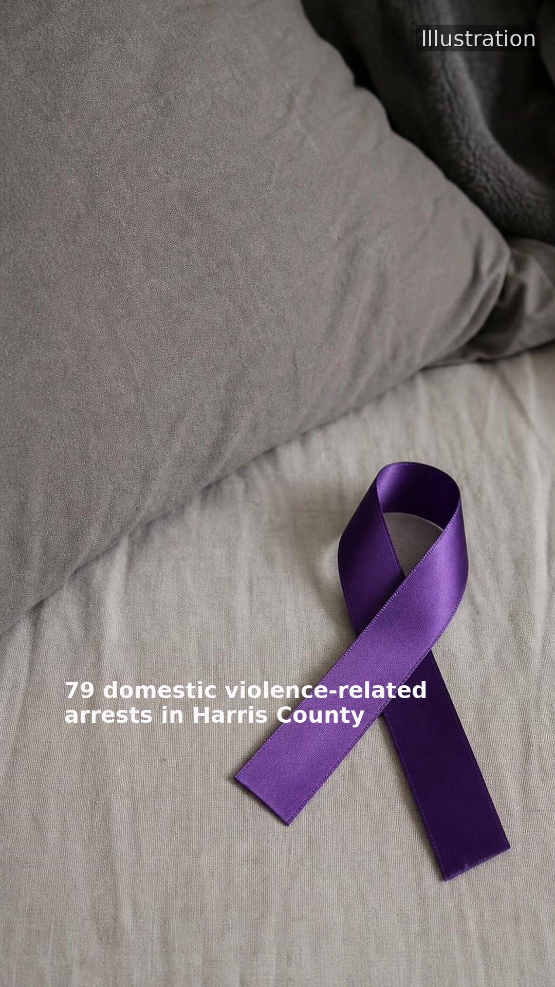 79 domestic violence-related arrests in Harris County