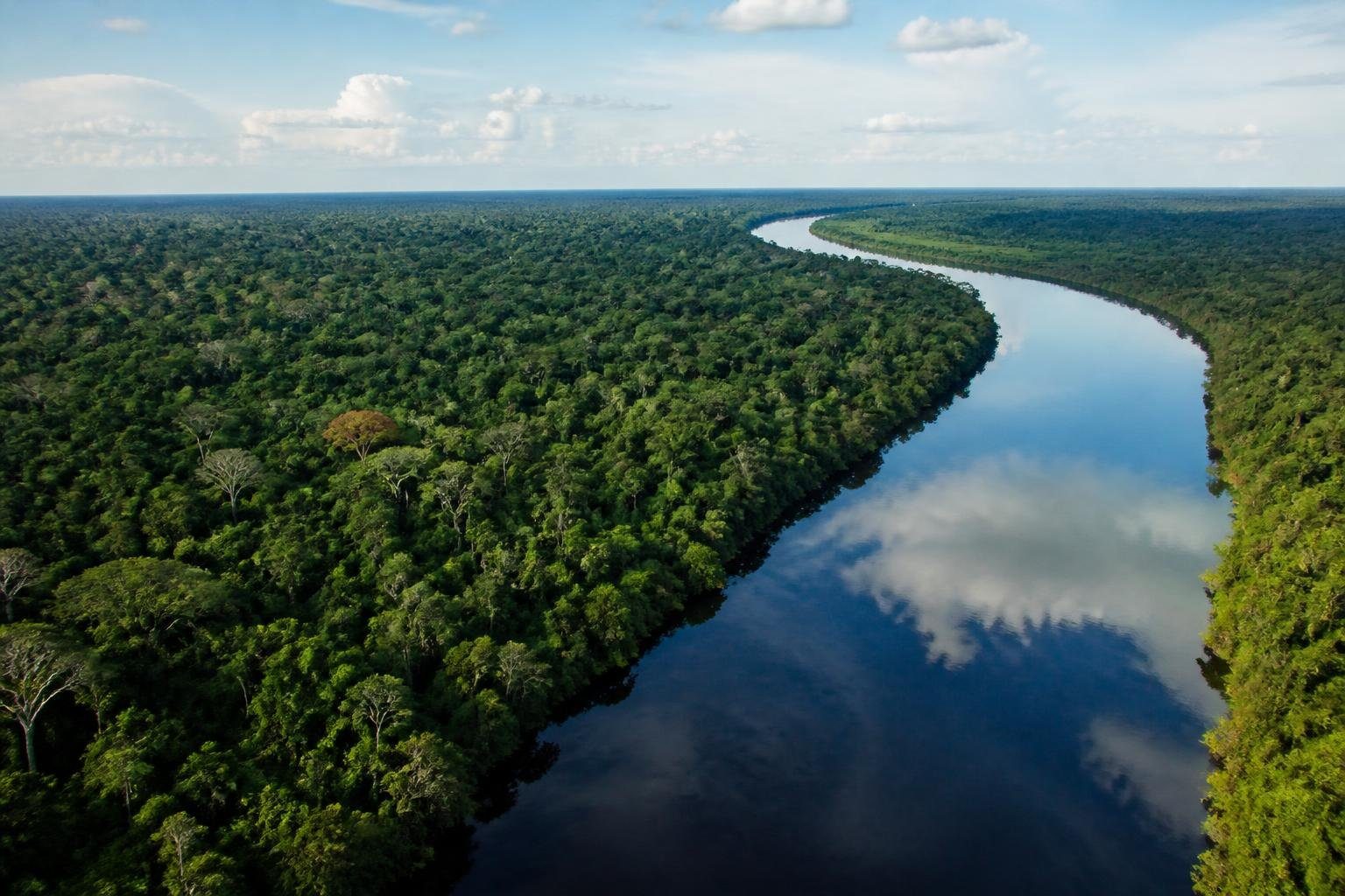 Brazil reports record drop in Amazon deforestation before election run-off