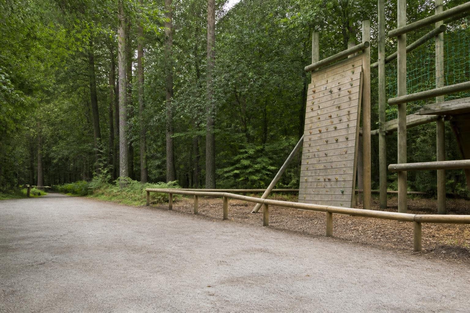 Children among 18 injured after tree falls at Surrey activity centre