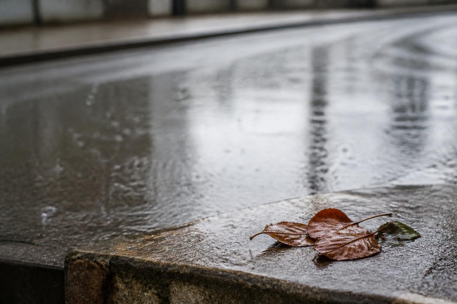 Aplazado Valencia contra el Cáncer por la alerta naranja de lluvias Aplazado Valencia contra el Cáncer por la alerta naranja de lluvias